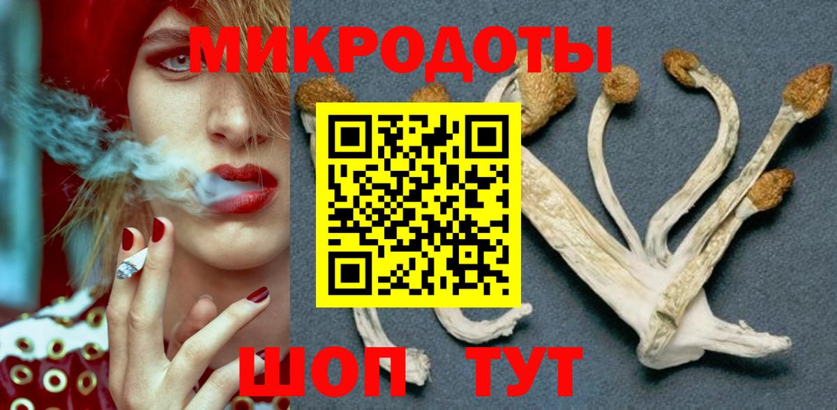 Донской  Галлюциногенные грибы мицелий  Галлюциногенные грибы Psilocybe  Вход с VPN 